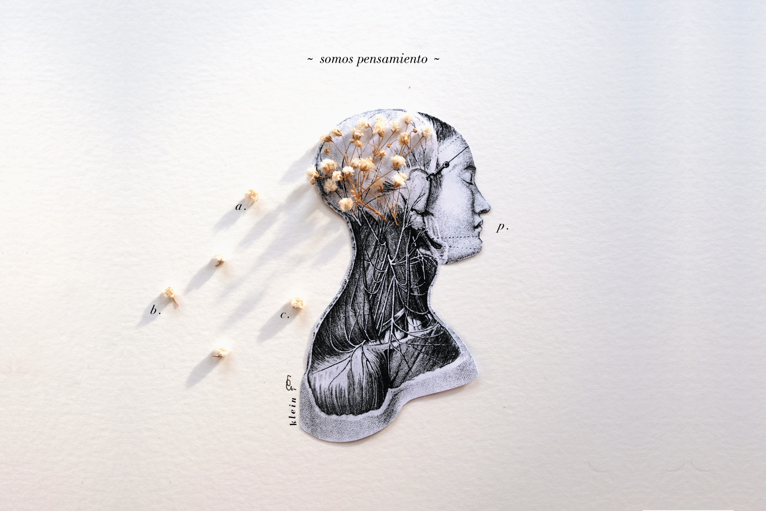 Cabeza-01-sinfecha-horizontal