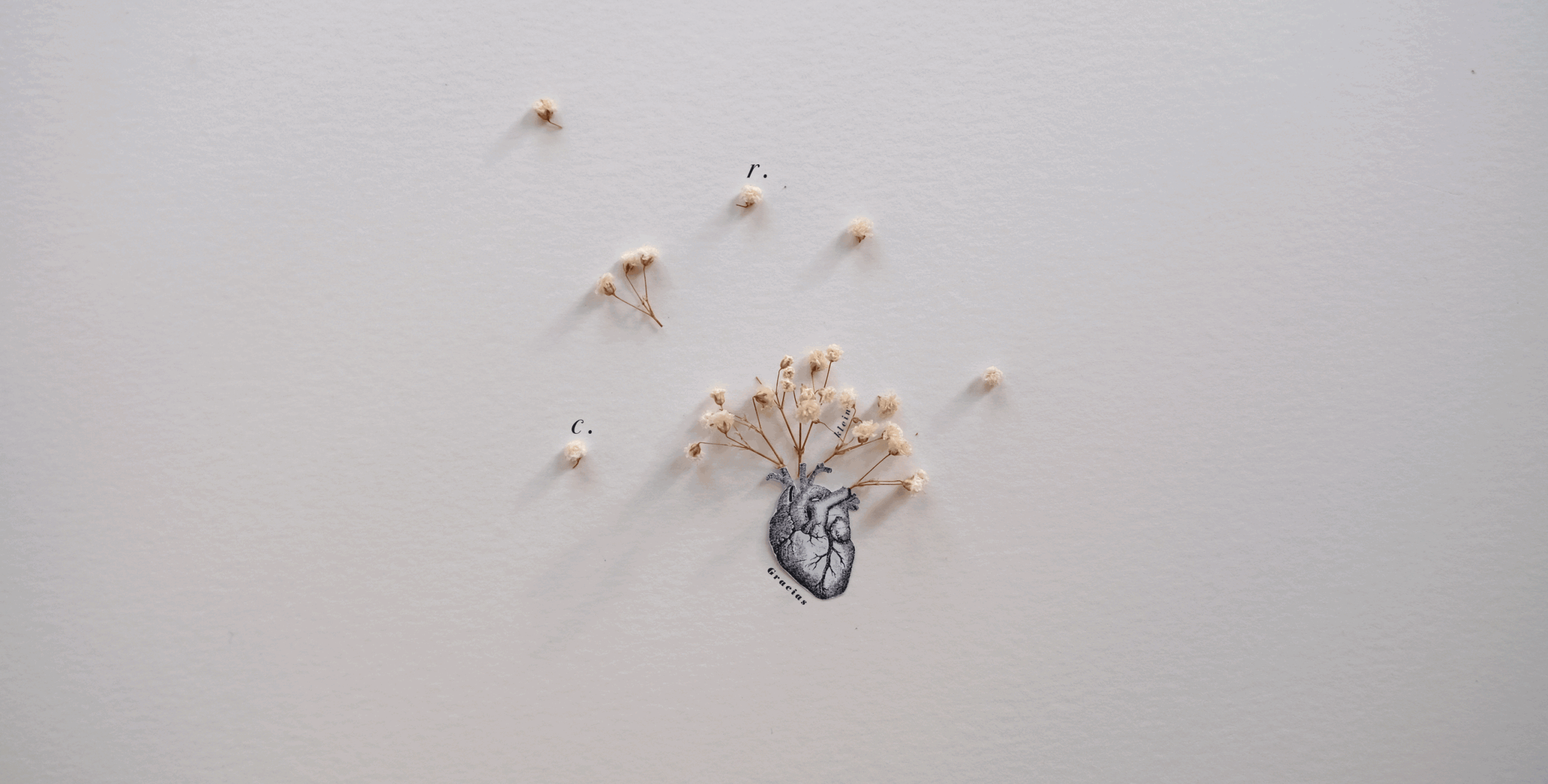 gracias_editable-horizontal