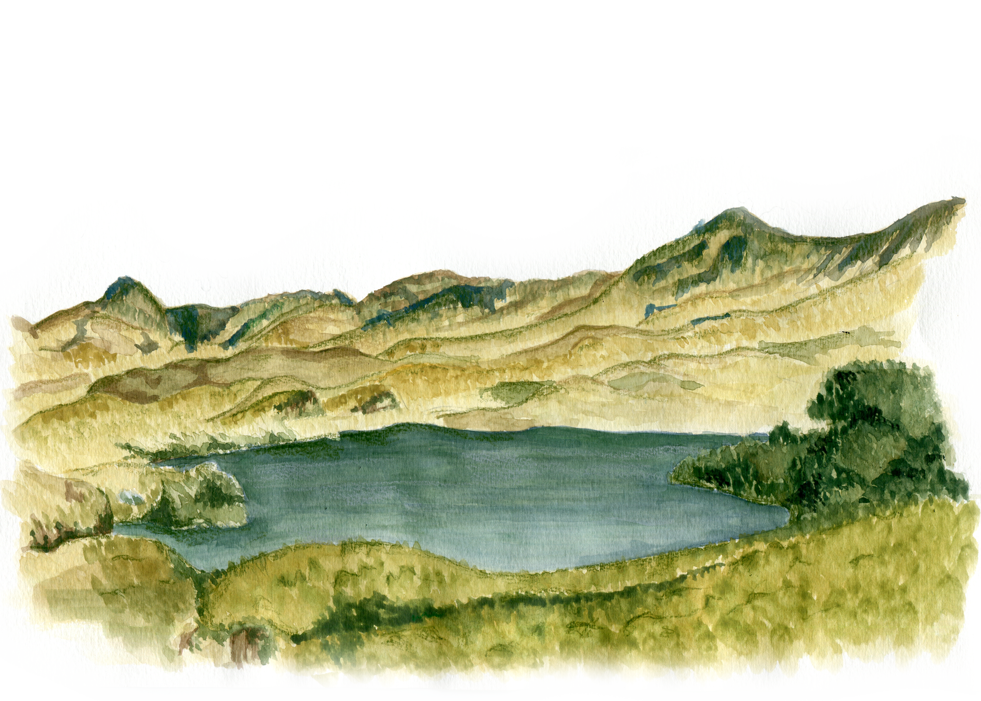 parque_cajas